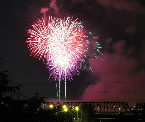 profesjonalny pokaz fajerwerków wystrzał na nocnym niebie.